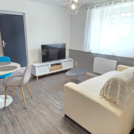 Cote Cour, T2 Espace Exterieur Au Calme Lourdes